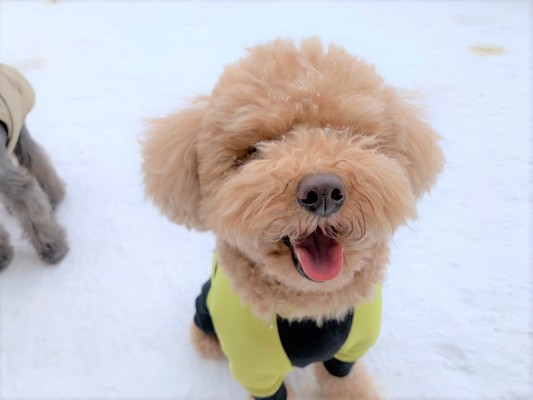 まだまだ雪は降る♪