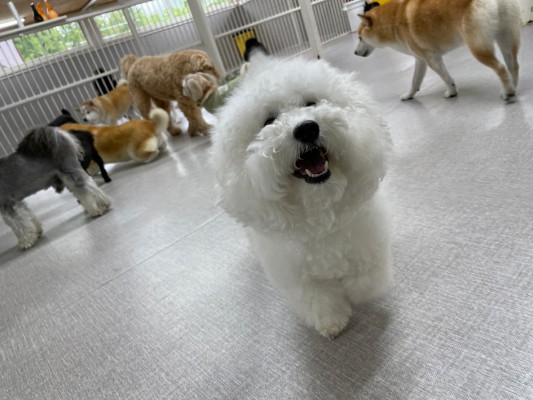 雨だね～！