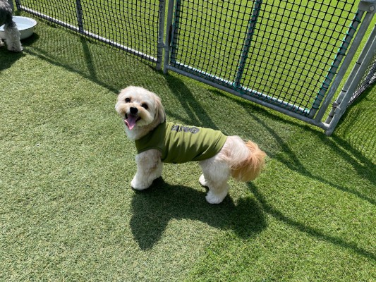 今日も暑いくらい、天気がいい☆