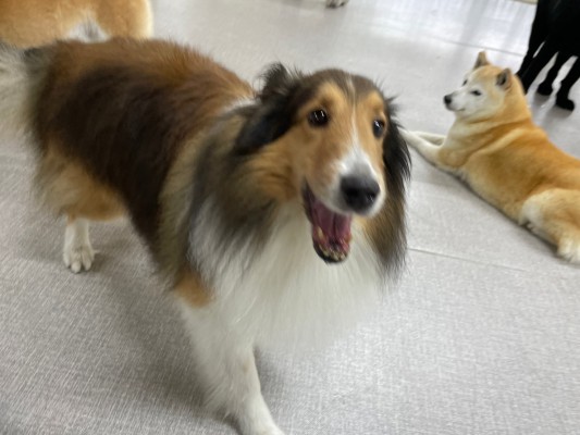 雨の日は園内遊び☆