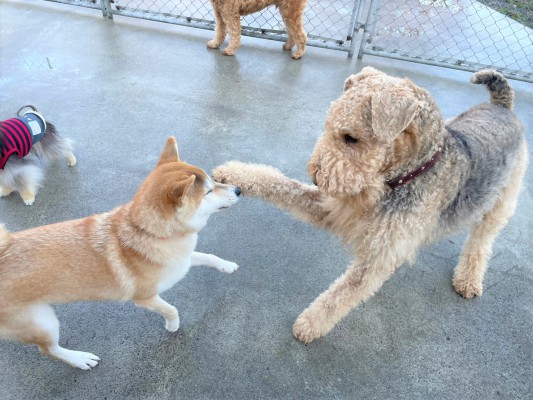 遊ぼう！！