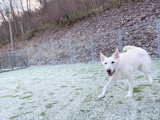 雪だ！！