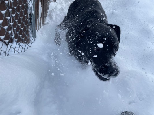 雪山遊び！