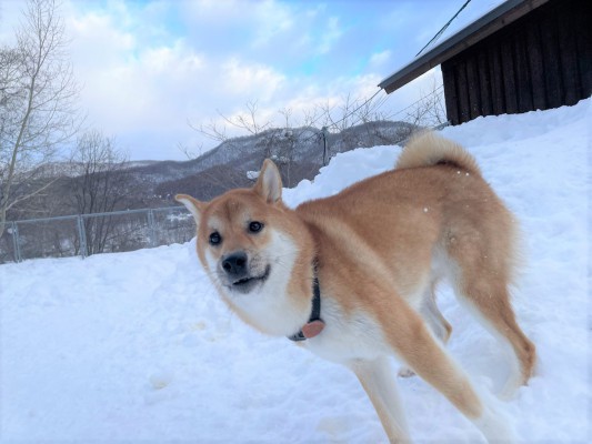 雪遊び☆