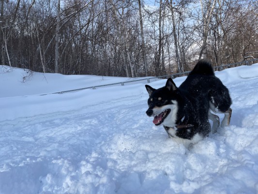 ふわふわお雪！！！