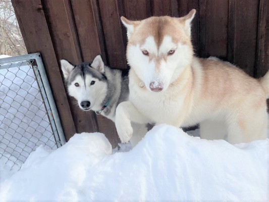 雪山！！