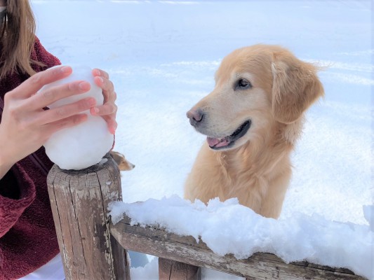 雪だるま