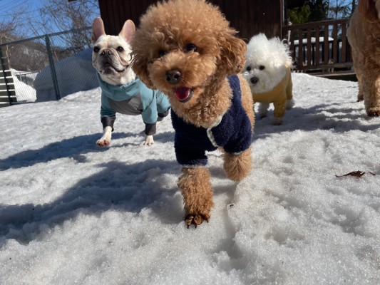 ぽかぽかいい天気♪