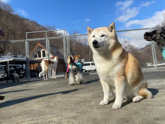 いいお天気♪