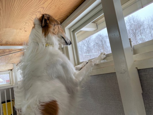 まさかの雪！？