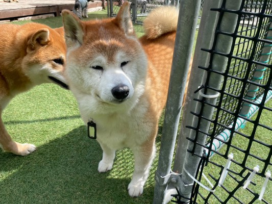 賑やかな日♪