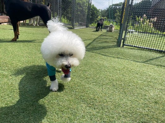 暑い日もオシャレしたい！！