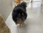 3連休最終日！