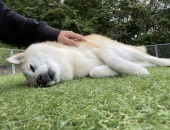 のんびりゴロゴロ♪