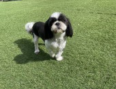 温もりを求めて・・・