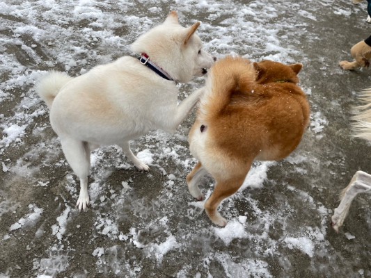 近くにいれば寒くない！