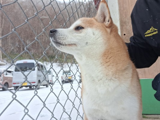 雪が降ったね☃