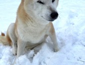 おててが冷えちゃう…！