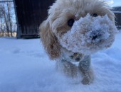 冬満喫☃