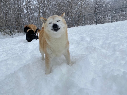 今日も元気いっぱい！