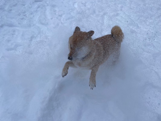 あけましておめでとうございます！