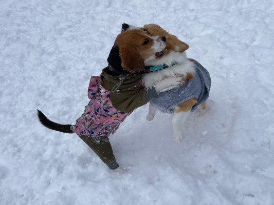 雪がよく降って嬉しいね♪