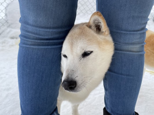 寒さも吹っ飛ばせ✩