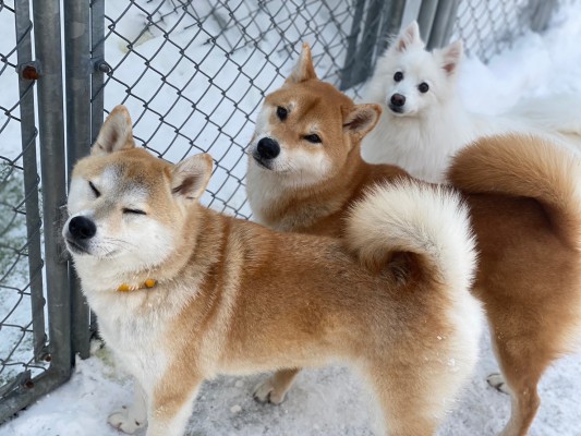 お天気だね☆彡