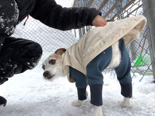 今日もふわふわ雪♪