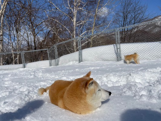 ぽかぽか雪遊び(^▽^)/