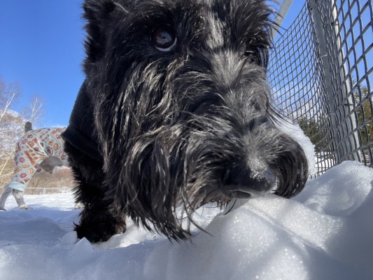 雪まだまだありますよ～！！