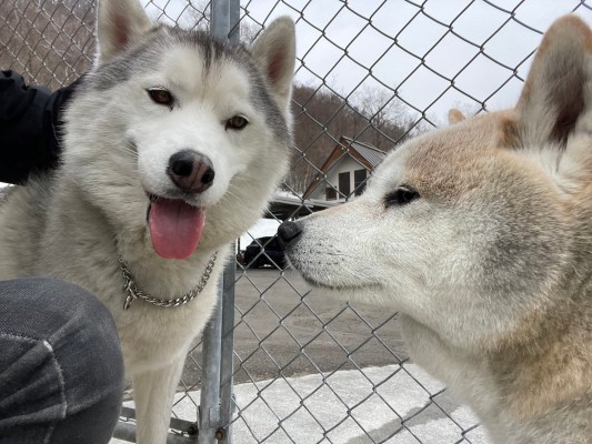 くもりだけど元気もりもり！